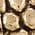 Color Swatch - Gold