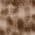 Color Swatch - Brown
