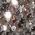 Color Swatch - Silver