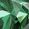 Color Swatch - Green