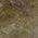 Color Swatch - Brown