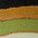 Color Swatch - Multi/Misc