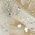 Color Swatch - White