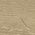 Color Swatch - Brown