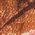 Color Swatch - Orange