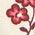 Color Swatch - Floral