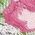 Color Swatch - Floral