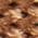Color Swatch - Brown