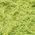 Color Swatch - Green