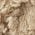 Color Swatch - Brown