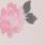 Color Swatch - Pink