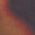 Color Swatch - Gold/Tortoise