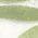 Color Swatch - Green