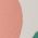 Color Swatch - Tulip White