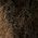 Color Swatch - Leopard