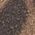 Color Swatch - Brown Suede