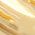 Color Swatch - Pearl/Gold