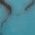 Color Swatch - Turquoise