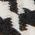 Color Swatch - Black/White/Multi
