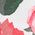 Color Swatch - Floral
