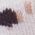 Color Swatch - Ivory Animal