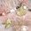 Color Swatch - Pastel Multi