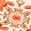 Color Swatch - Orange