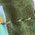 Color Swatch - Green
