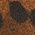 Color Swatch - Leopard