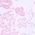 Color Swatch - Pink