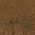 Color Swatch - Nutmeg