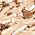Color Swatch - Gold