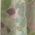 Color Swatch - Green
