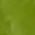 Color Swatch - Green