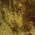 Color Swatch - Brown