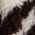 Color Swatch - Brown