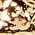 Color Swatch - Gold