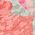 Color Swatch - Floral