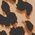 Color Swatch - Animal