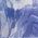 Color Swatch - Blue