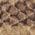 Color Swatch - Animal