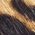 Color Swatch - Beige/Brown Zebra