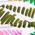 Color Swatch - Green