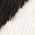 Color Swatch - Zebra
