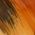 Color Swatch - Orange