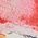 Color Swatch - Pink