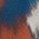 Color Swatch - Blue