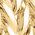 Color Swatch - Gold