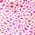 Color Swatch - Magenta