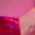 Color Swatch - Pink